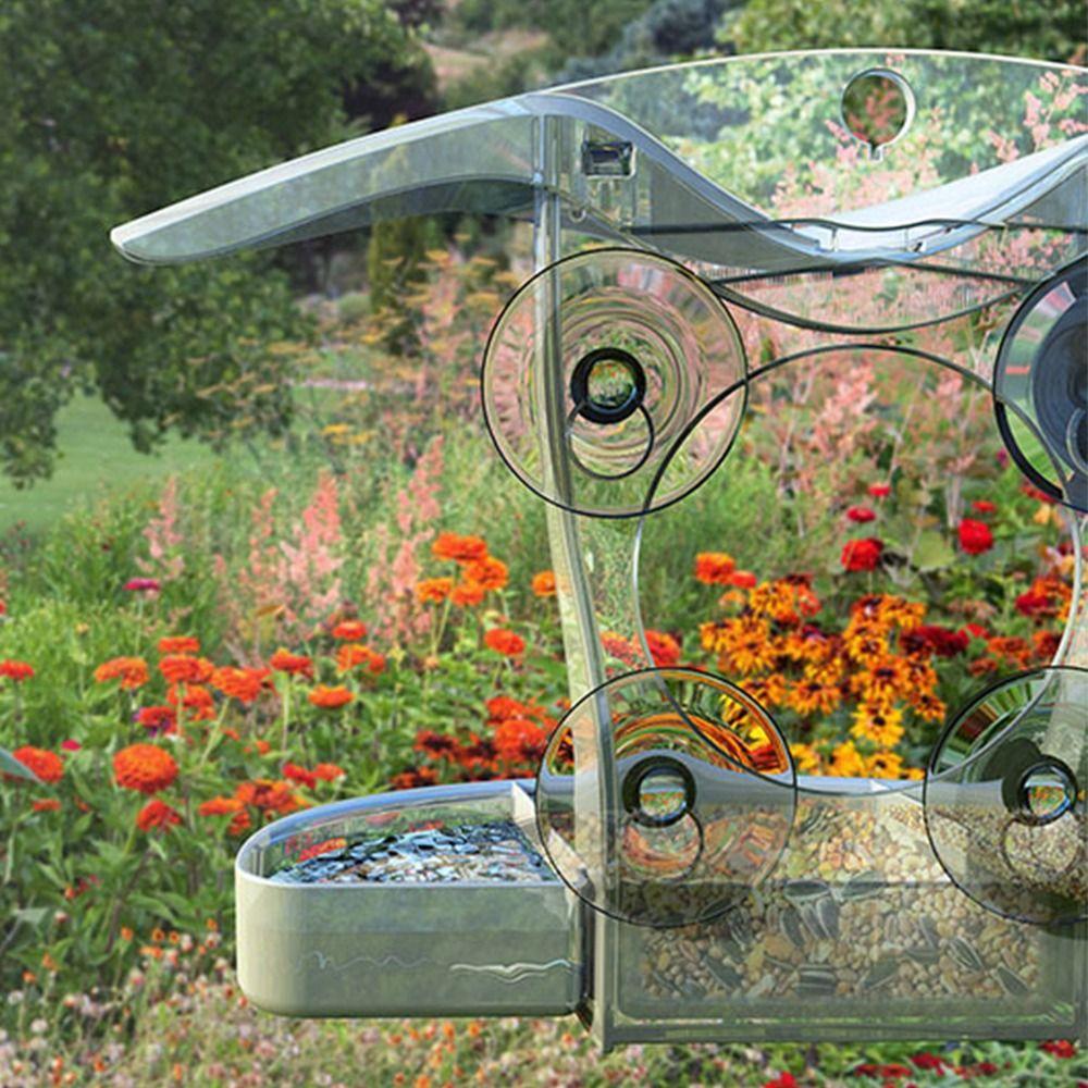 Transparent Wild Bird Feeders Strong Suction Cup Bird Food Container  Bird Watching