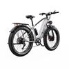 Elektrofahrrad Duotts F26, Doppelmotor 750W, 48V 20AH Akku, Höchstgeschwindigkeit 55 km/h, Reichweite 120 km, 26x4,0 Zoll Reifen