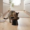 Elevated Ceramic Cat Water Bowl   Fatigue Neck Care Large Capacity Bowl for Cats and Dogs