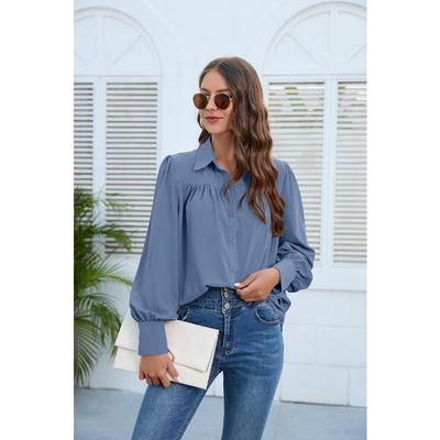 Camicia da donna primaverile e autunnale plissettata a maniche lunghe Camicette Top Temperamento Elegante Taglia Plus