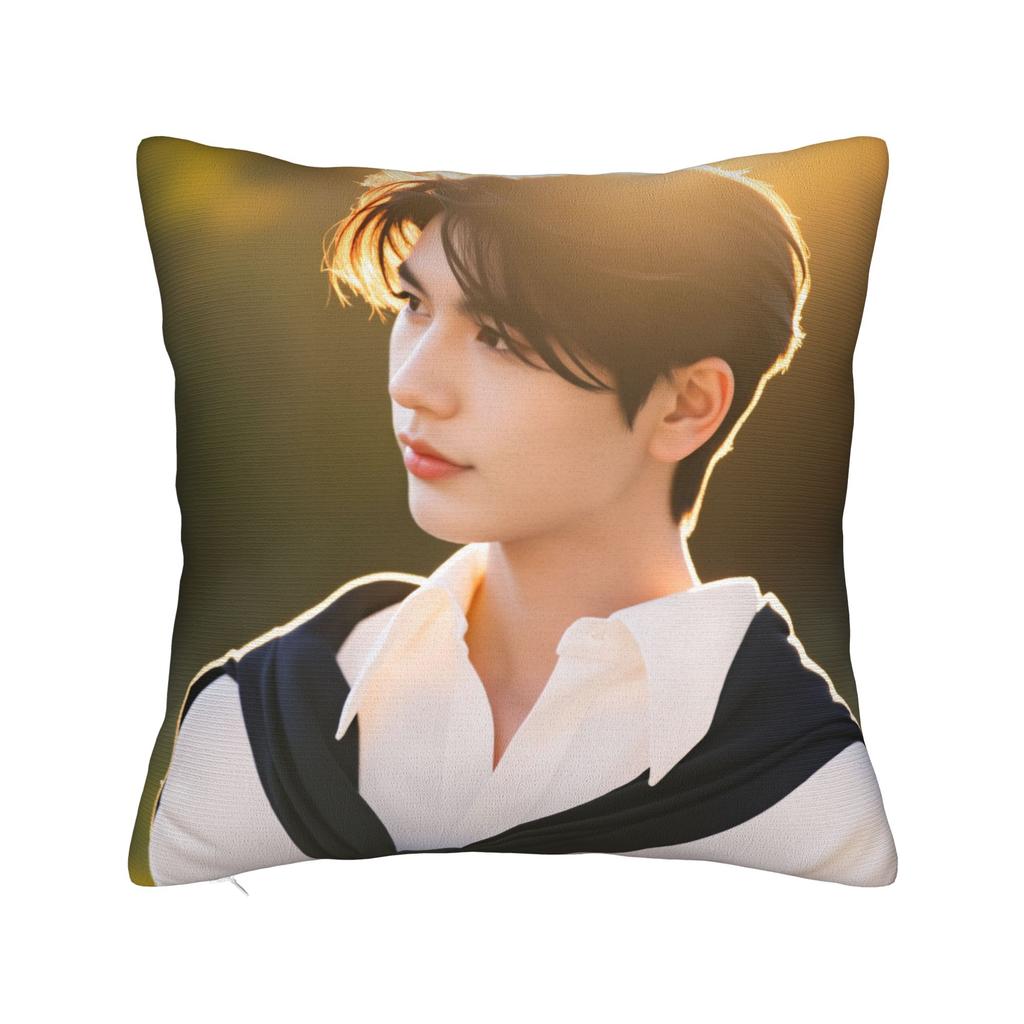 Zhang Actor Linghe Pillow Cover Morden Pillow Case For Sofa Couch Bed Living Room Graphic Pillowcases Gift Idea