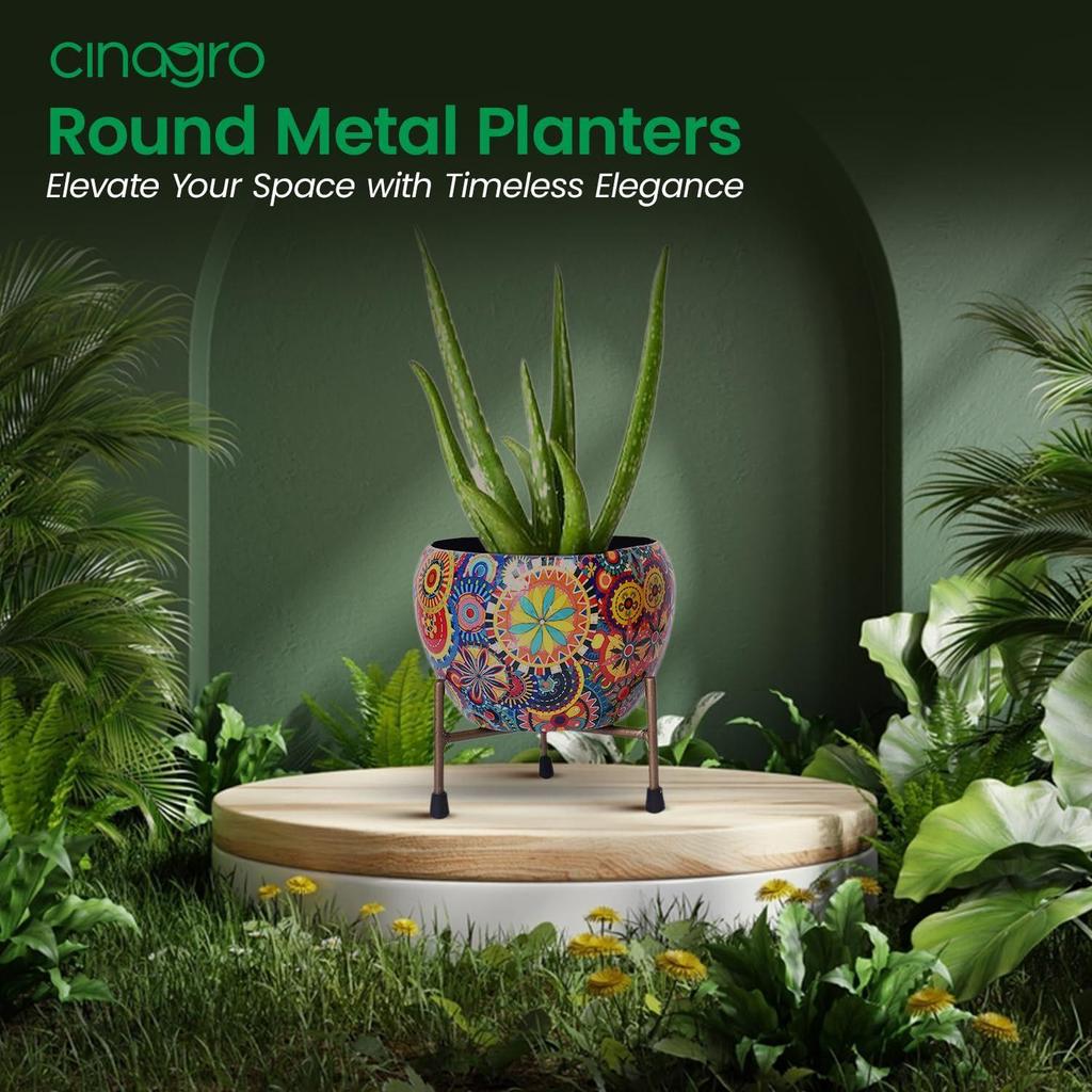 Pots for Plants, Plant Pots for Home Decoration, Succulent Pot, Indoor Planter Garden Decor (Size: 6X6 inch) Style: Mandala Fusion Spectrum