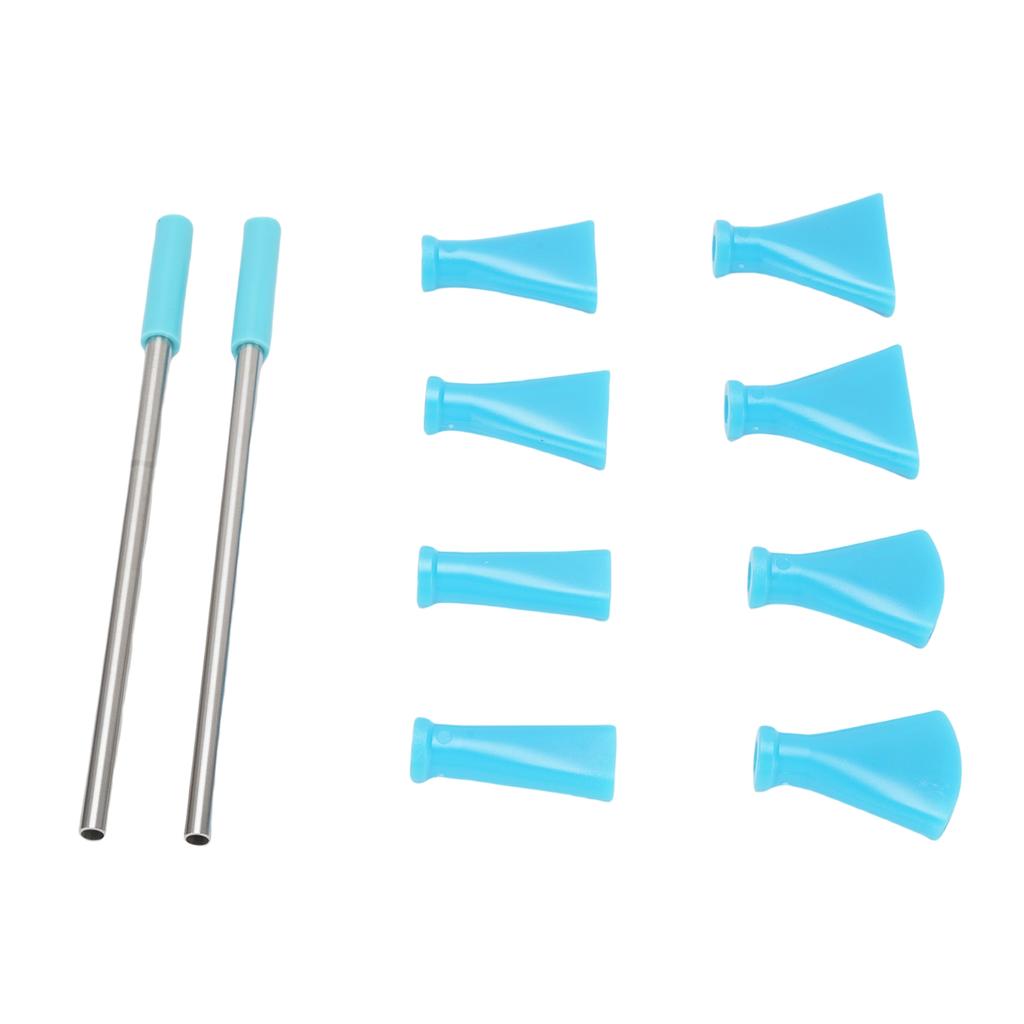2Pcs Stainless Steel Straw 8Pcs Blow Nozzles Set Multifunctional Acrylic Pouring Paint Supplies