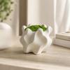 3D Printed Succulent Pot Desktop Storage Flowerpot Modern Retro Irregular Planter  Indoor