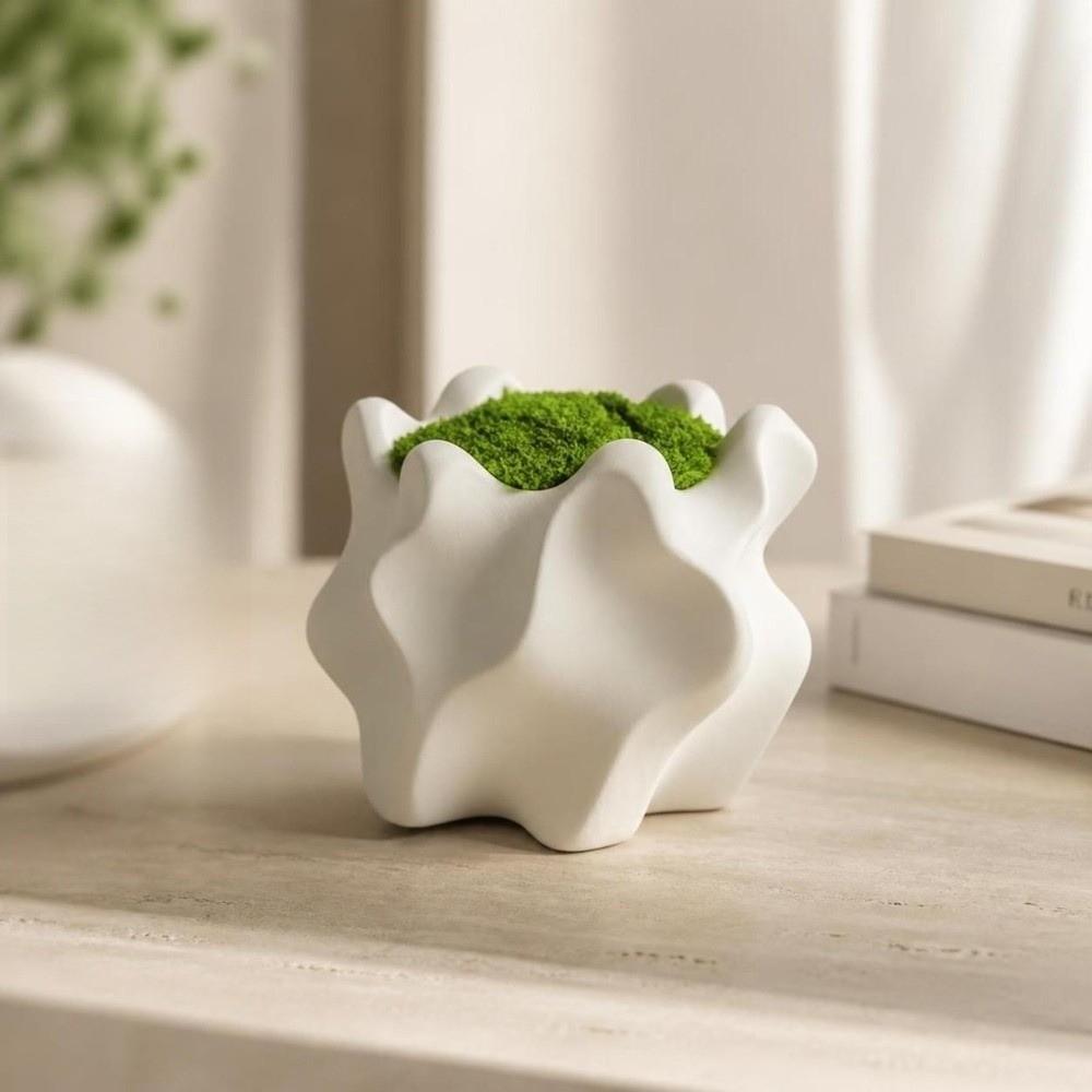 3D Printed Succulent Pot Desktop Storage Flowerpot Modern Retro Irregular Planter Indoor