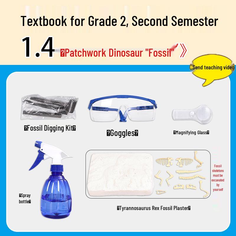 Second Grade Science Experiment Set: Dinosaur Fossil Craft Kit and Teaching Aids