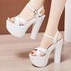 Femei Sexy Elegant Temperament Moda Impermeabil Pantofi cu toc inalt petrecere de lucru Toc 15 cm