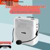 Little Bee Bluetooth Speaker & Amplifier for Teachers and Tour Guides