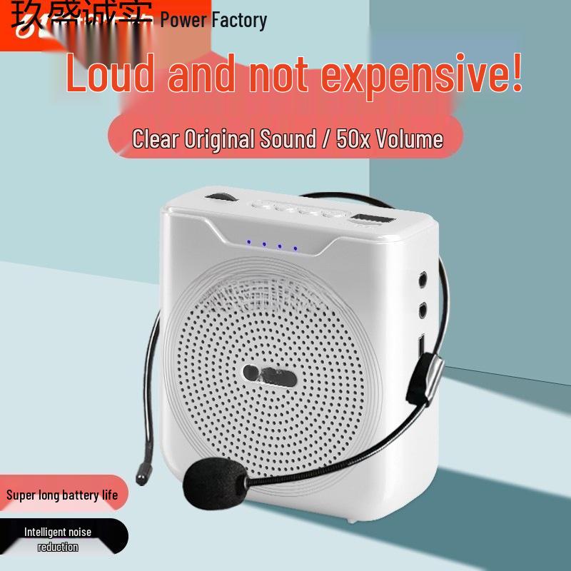Little Bee Bluetooth Speaker & Amplifier for Teachers and Tour Guides