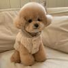Fashion Pet Two-Legged Coat with Hat Warm Cotton Vest for Small Medium Dogs Winter Chihuahua Costume Puppy Clothing