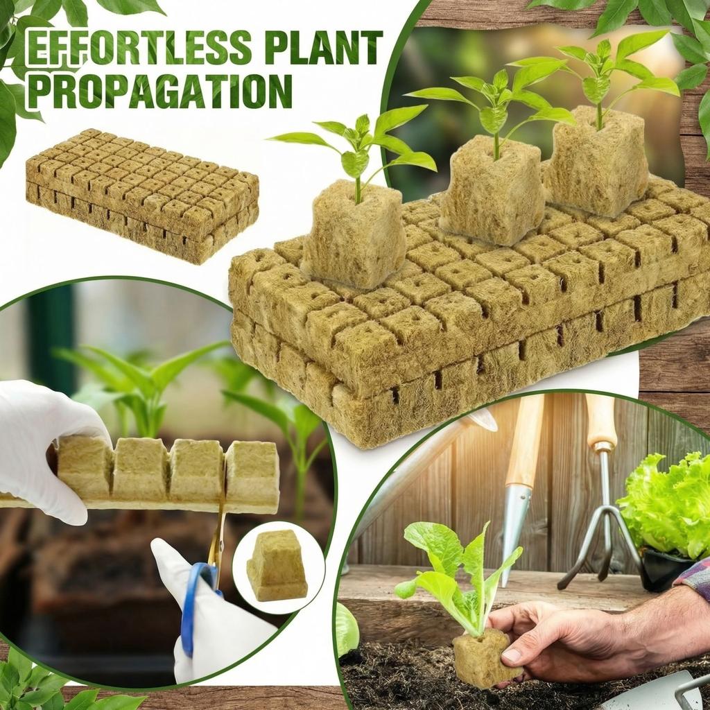 Materiale di Alta Qualità Questi Cubi Sono Realizzati Con Un Substrato di Coltivazione Senza Suolo, Che Innanzitutto Migliora la Germinazione dei Semi e In Secondo Luogo È Perfetto per l'Orto Idroponico