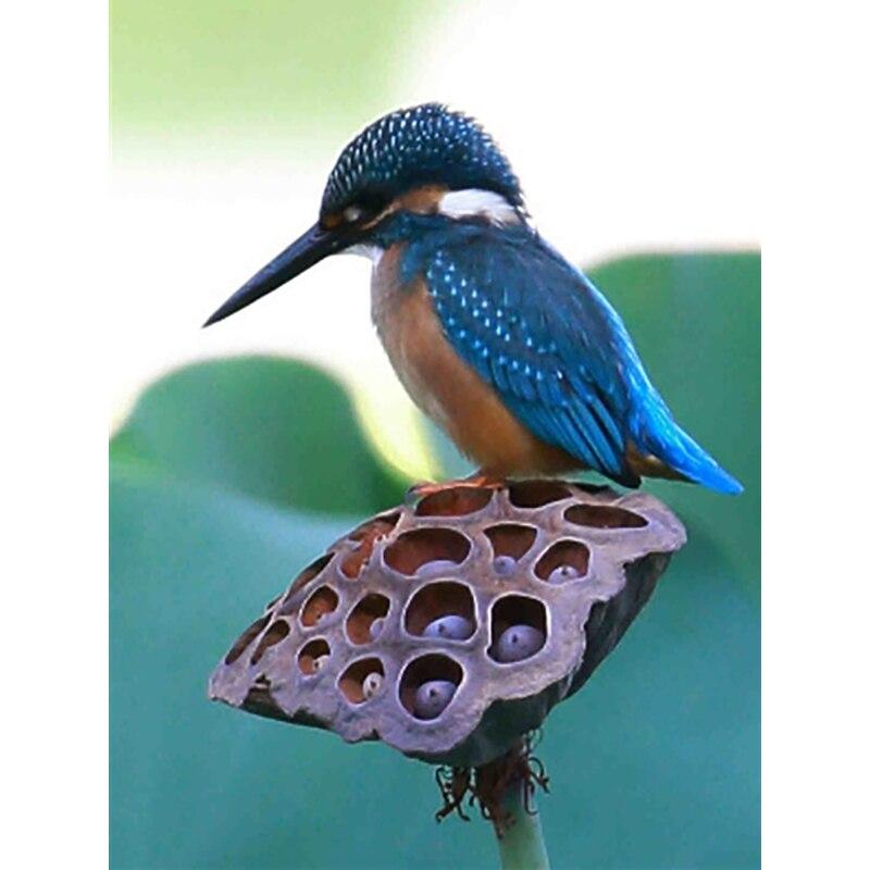 Noua pictură cu diamant 5D bricolaj, broderie cu diamante, animale, cu punct de cruce, meșteșuguri, decorațiuni pentru acasă, cadou manual