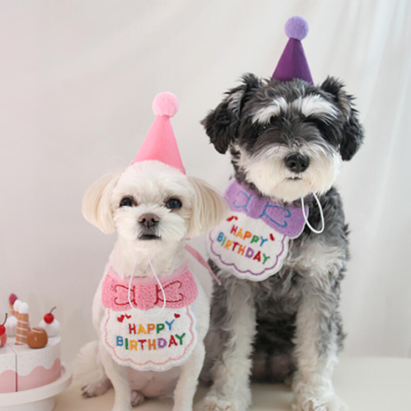Dog Puppy Cat Birthday Party Hat Cape Set Purple