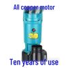 Shanghai Model 220V Submersible Clean Water Pump for Agricultural Irrigation & Household Use