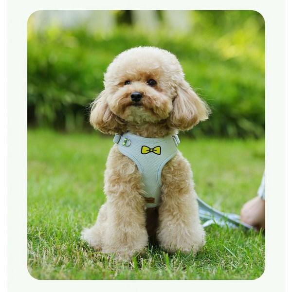 Tiny Tog Dog Harness Velvet Corduroy Leash Set, Blue, 1 Piece