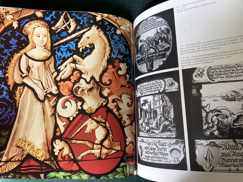 [USED] Rare German stained glass book