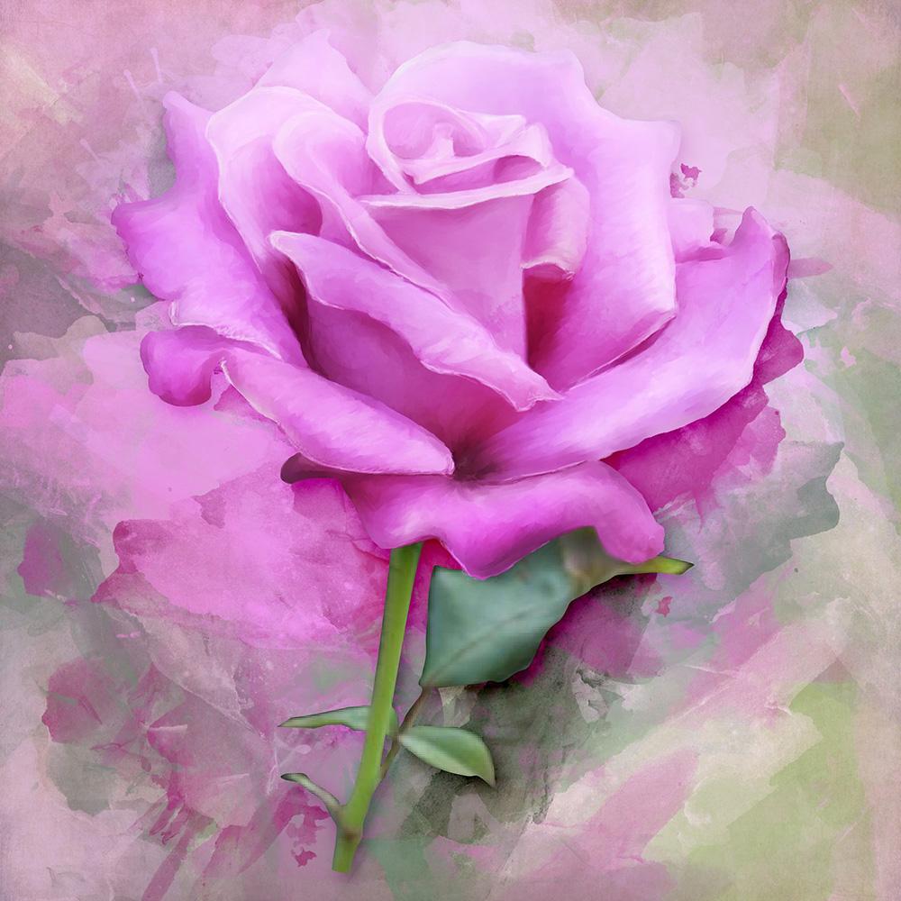 5D DIY Diamond painting Romantic flowers full diamond square/round diamond embroidery cross-stitch set home wall decorative art