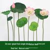 Ornamento de Folha de Lótus em Pé para Aquários - Decoração de Flor de Lótus Artificial