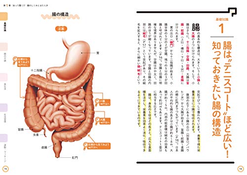 A new textbook on the intestines: A healthy body starts from the intestines