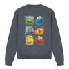 Sesame Street Unisex Adult Characters Sweatshirt