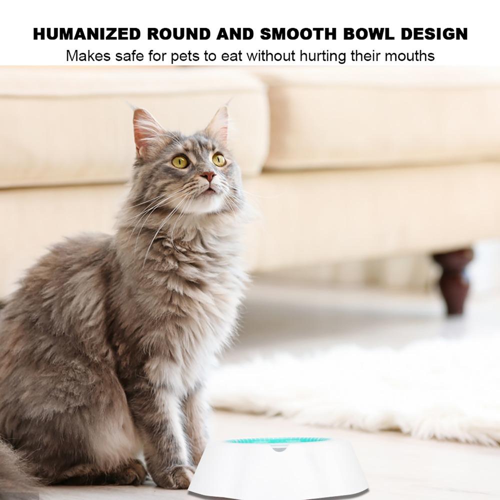 Double Wall Cooling Pet Bowl Summer Pet Water Bowl  Warm Weather Care