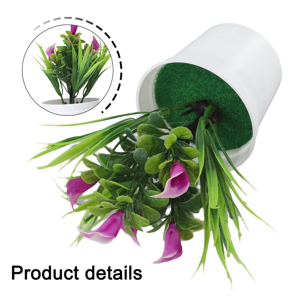 Potted 5PCS Small Calla Lily Flowers Home Room Decoration