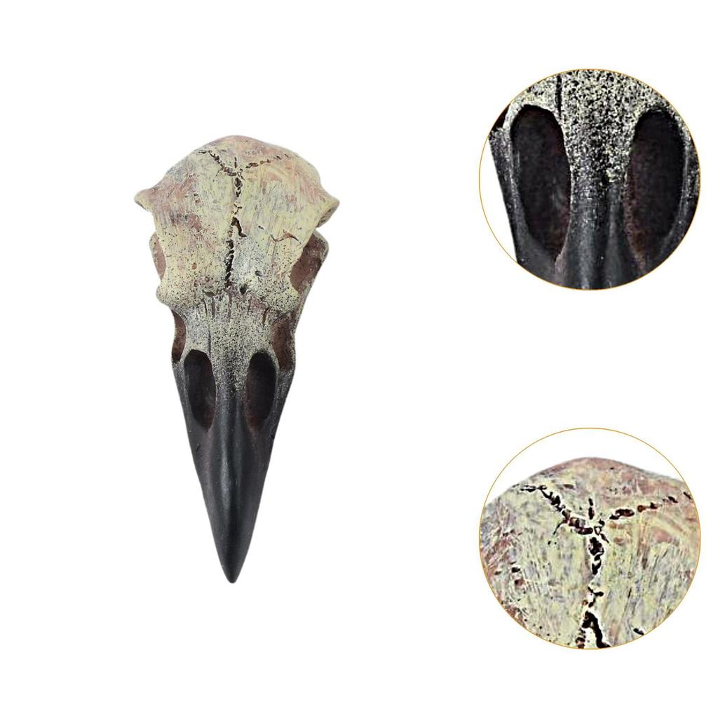 Halloween Raven Skull Decor Halloween Decor for Party Window Sill Home