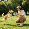 Squeaky Football Dog Toy for Training & Play: Self-Play Chew-Resistant Ball for Fetch Games and Independent Fun