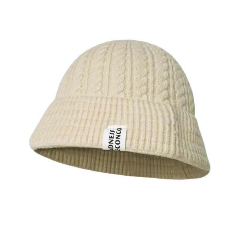 Internet celebrity autumn and winter fashion wide-along wool hat Korean version ins cloth sticker twist warm knitted hat cold hat wholesale