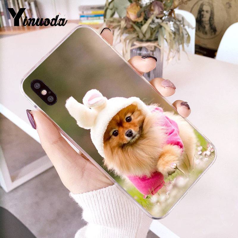 Yinuoda Pomeranian Dogs Dog Colorful Cute Phone Case for Iphone 13 8 7 6 6S Plus X 10 5 5S SE XR XS XSMAX11 11pro 11promax