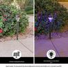 Solar LED Garden Light - Outdoor Waterproof Landscape Decoration