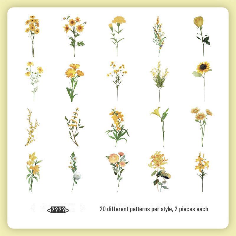 

Набор наклеек «Ретро Природа Юэчжэнь»: Цветы и бабочки для детских справочников