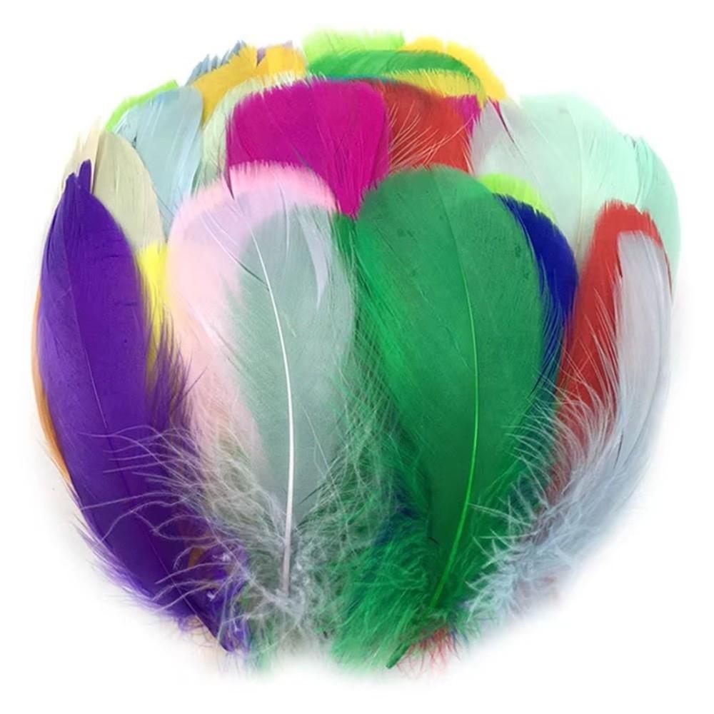 50PCS Natural Feather Colored Feather Decorations Lightweight Colored Feathers DIY Home Crafts