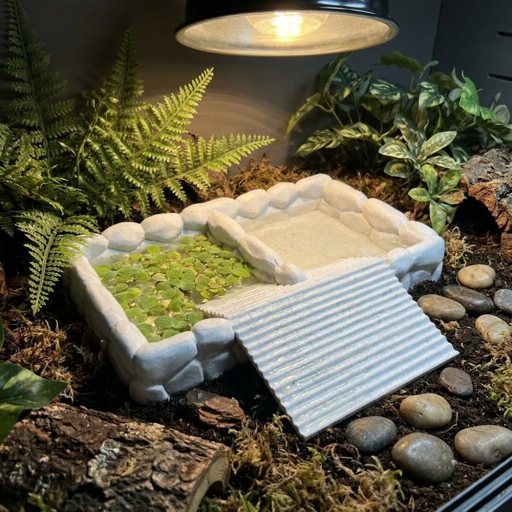 Anti-Drowning Hermit Crab Bath Tub 2-in-1 Reptile Water Basin Small Pet Water Basin Crawling Pet