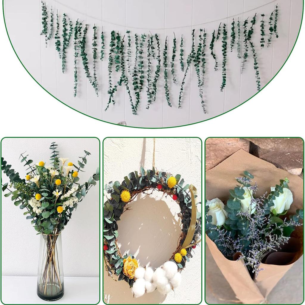 20 Pcs Preserved Dried Eucalyptus Stems, 17" Natural Fresh Eucalyptus Branches,Real Plant for Vase Filler, Dried Flowers Arrangement