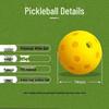 LongChan Indoor Pickleball Training Balls