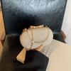 Summer high-end niche design chain crossbody small bag women's new trendy handbag silver banquet bag