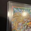 Used Yu-Gi-Oh! Moon Goddess's Heavenly Ascent Prismatic Over-Frame