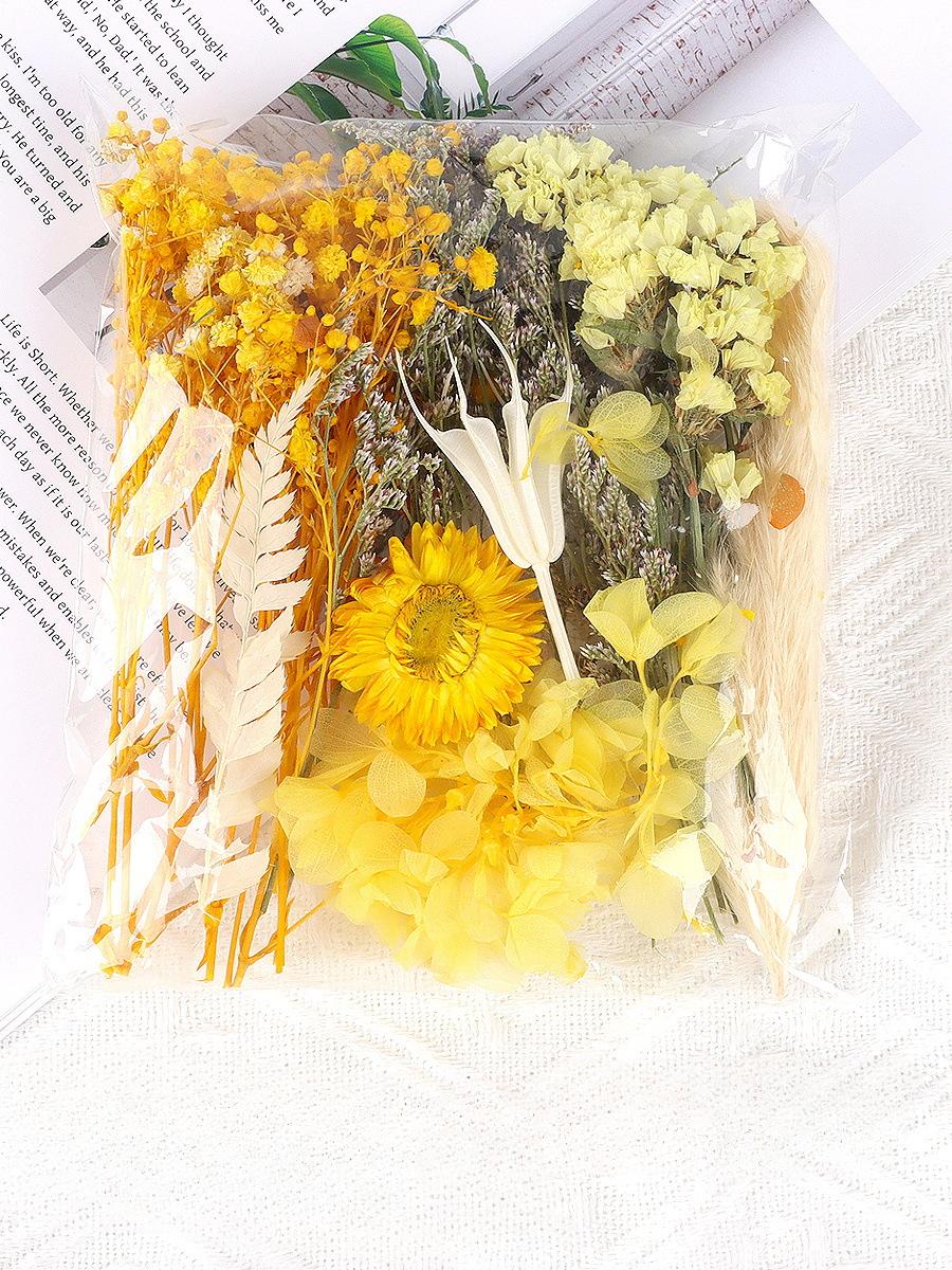 

Натуральні Рослини Сушені Квіти Зоряного Неба Збережені Матеріали Набір Епоксидна Смола Свічки Мило DIY Флористичні Матеріали Набір Сушені Квіти жовтий