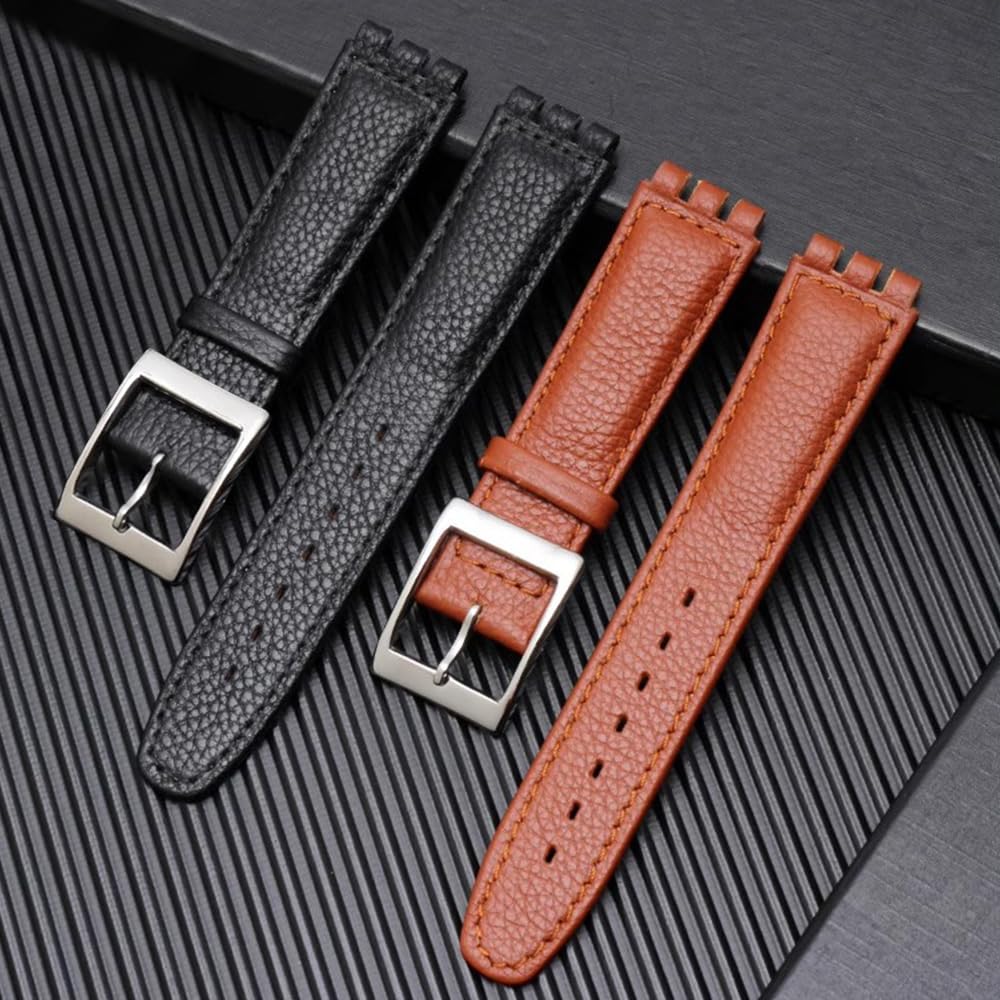 ZHUOLEI Swatch Watch Includes 3 Spring Spring Bar and Box Strap, 17mm/19mm, Bars, Remover,