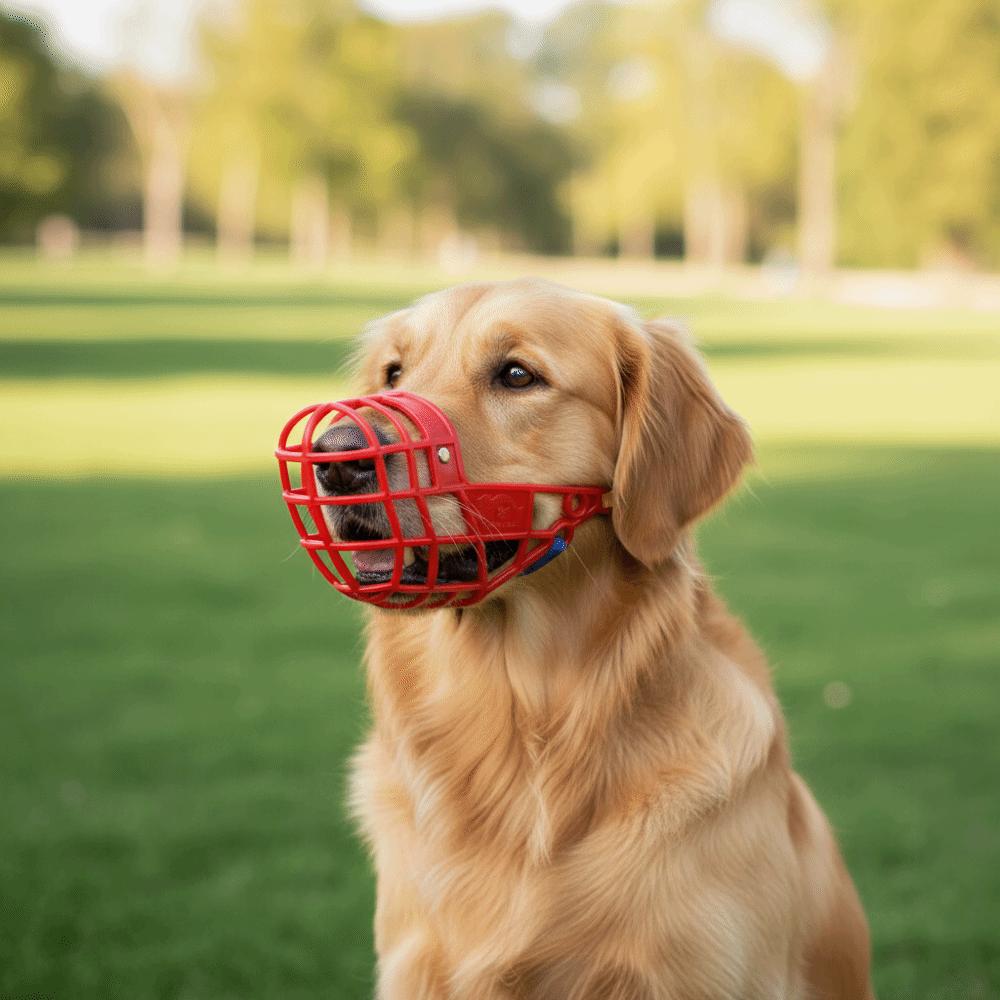 Adjustable Anti-Biting Mouth Cover Breathable Comfortable Dog Mouth Mask Bite Resistant Dog Stop Barking Mask Walking