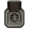 Prise de courant - Plexo - 069860L - 2P+T - Anthracite - IP55 IK08
