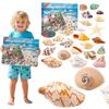 Seashells Advent Calendar 2025 Christmas Advent Calendar Holiday Countdown Calendar Christmas Gifts for Boys and Girls