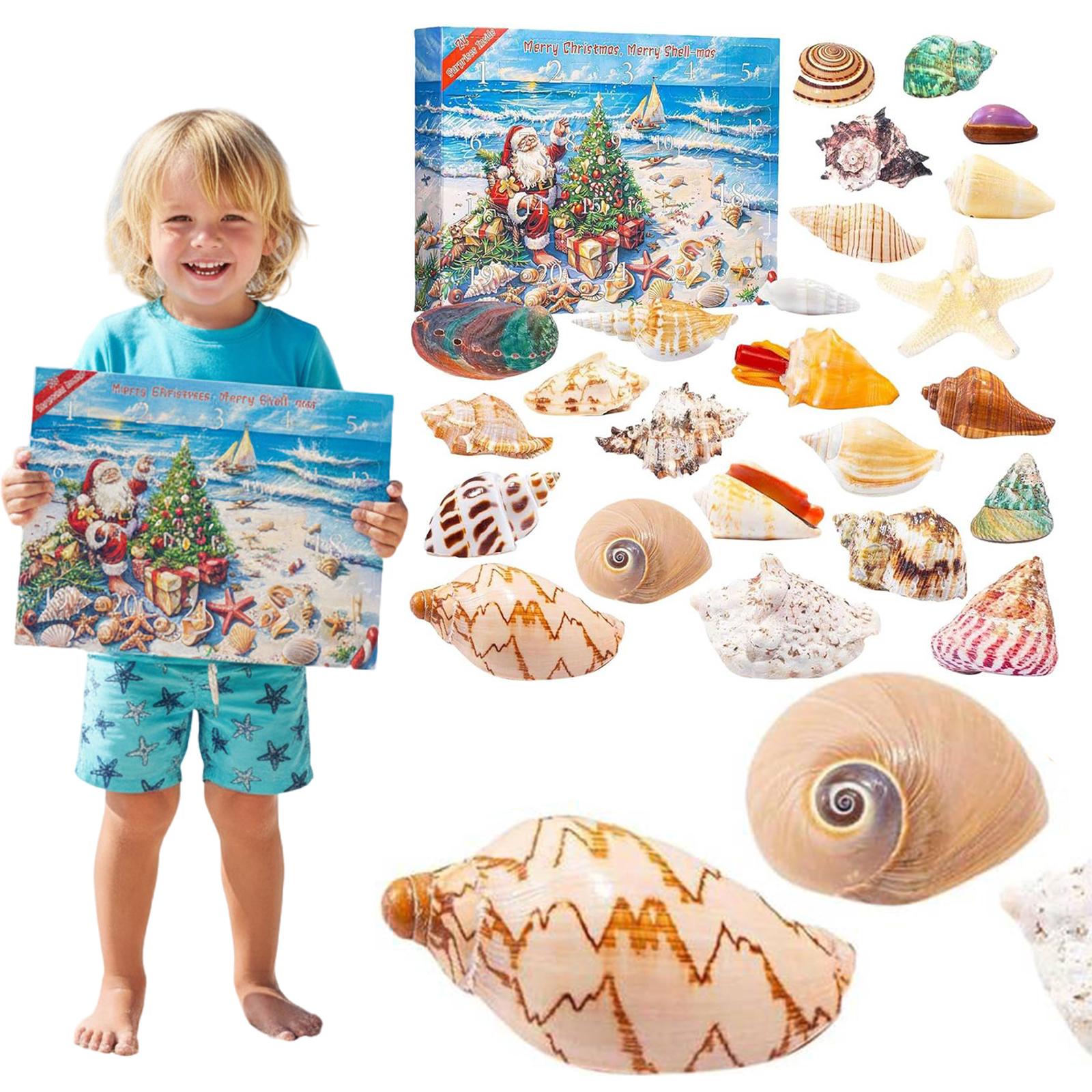 

Seashells Advent Calendar 2025 Christmas Advent Calendar Holiday Countdown Calendar Christmas Gifts for Boys and Girls China Mainland