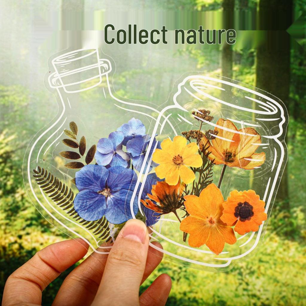 Handmade Transparent Plant & Flower Stickers for Creative DIY and Journaling