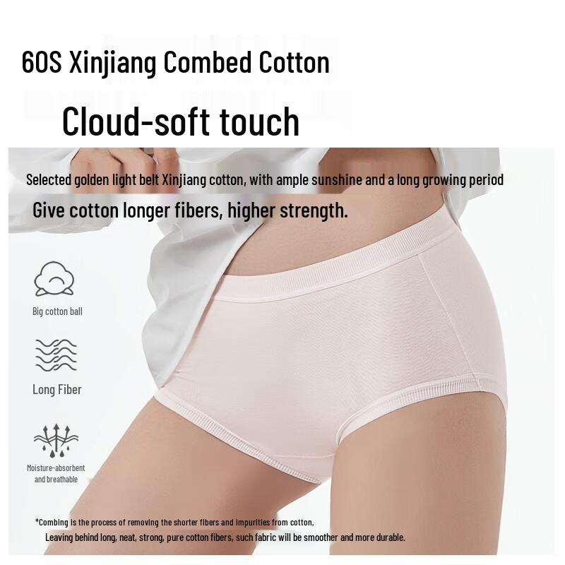 Etam Women's Seamless Combed Cotton Mid-Rise Briefs (3-Pack)