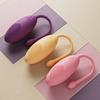 Wearable Clitoral G Spot Vibrator Remote Control Adult Sex Toys for Women Couple Panty Vibrators Vibrating Adult Toy Stimulator