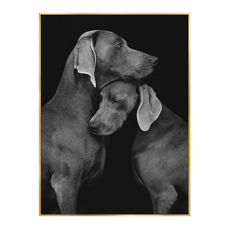 

Черно-белое животное Собака Пара Плакат Декоративные картины Холст Настенные картины Фотографии Главная Спальня Украшение Эстетика 21x30cm No Framed