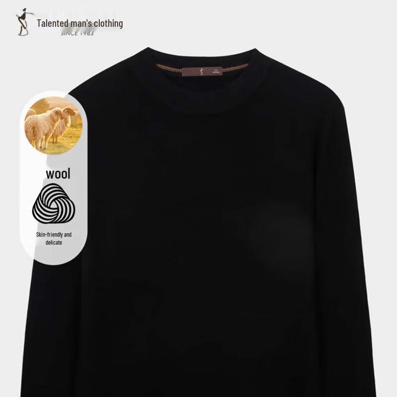 

TRIES Men s Solid Color Round Neck Wool Sweater L 48