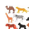 Archaeology Discovery Excavation Kits Stem Activities DIY Digging Toys for Children